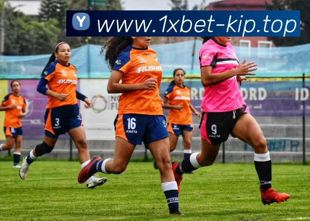 1xbet官网平台生态图