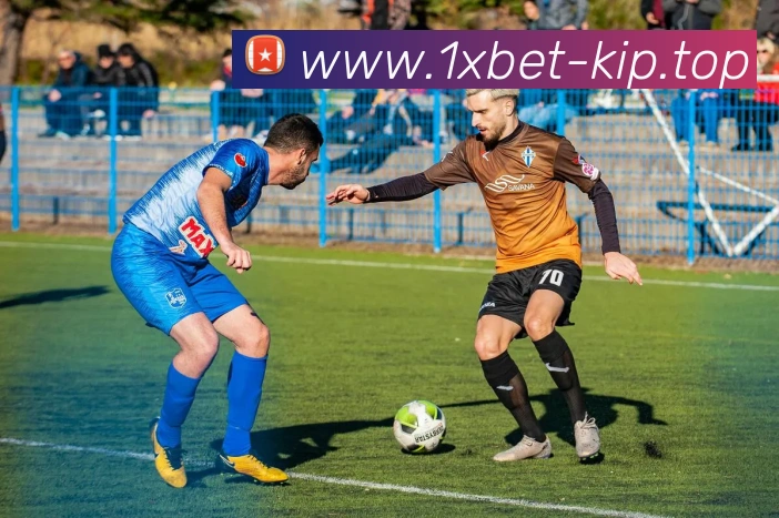 App 展示图